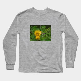 Acacia farnesiana or Kolū in Hawaiian Long Sleeve T-Shirt